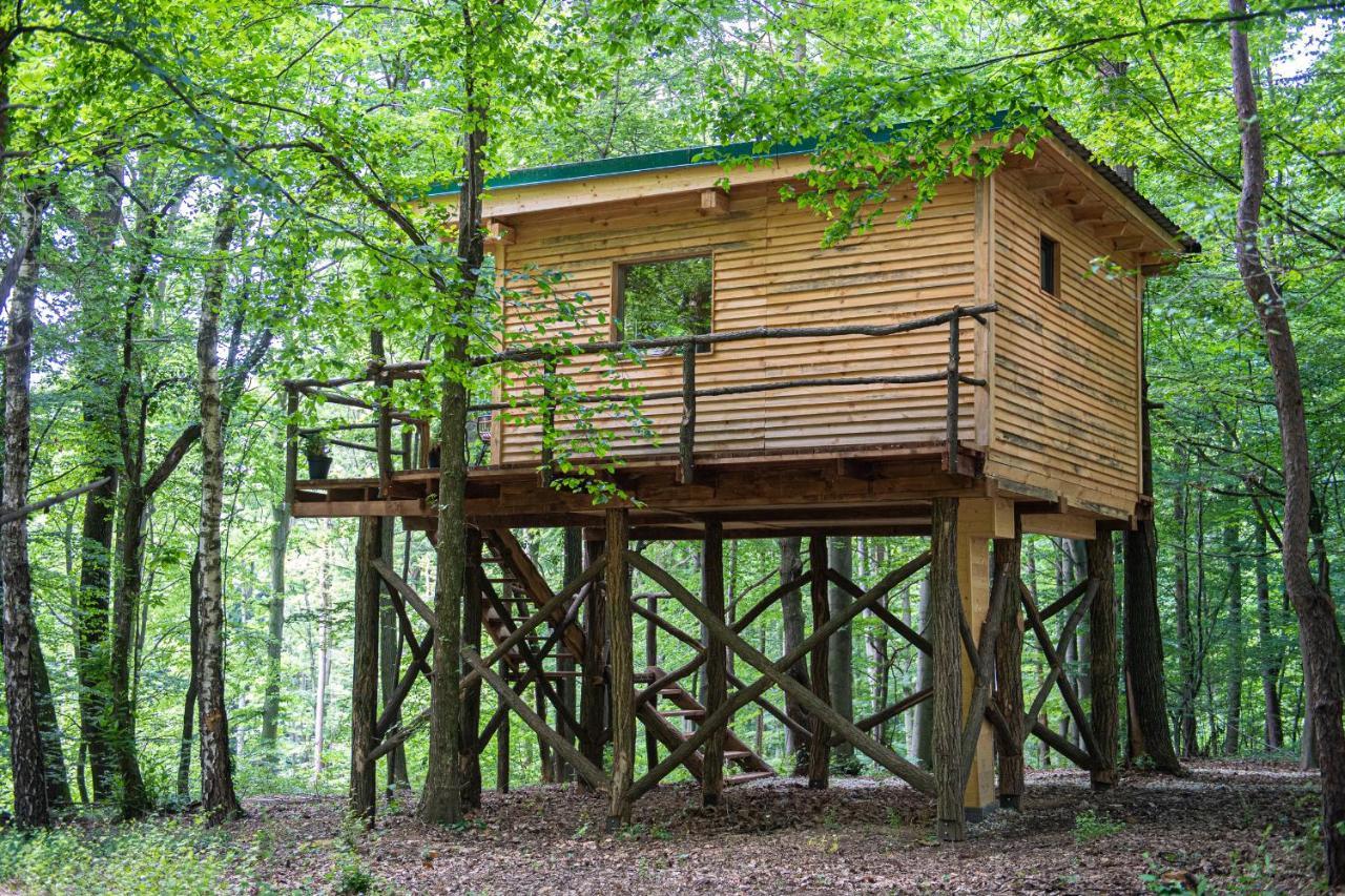 Living Forest Resort 摩拉瓦托普利采 外观 照片