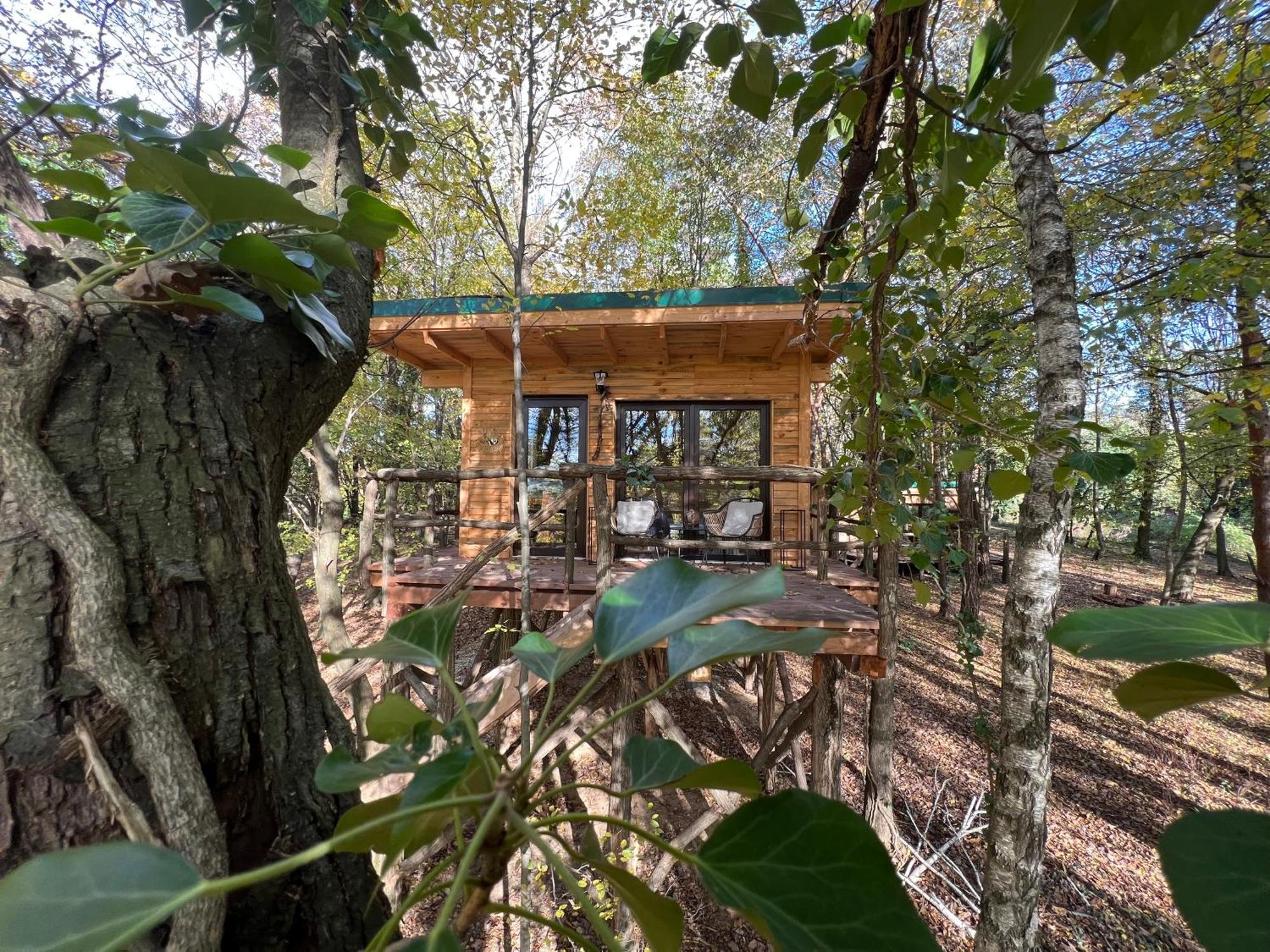 Living Forest Resort 摩拉瓦托普利采 外观 照片